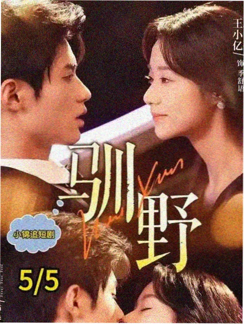 生石花多肉对生叶球体